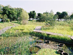 池の画像4