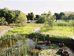 池の画像5