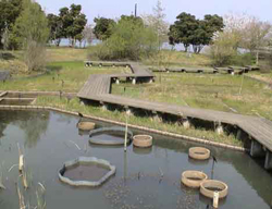 池の画像9