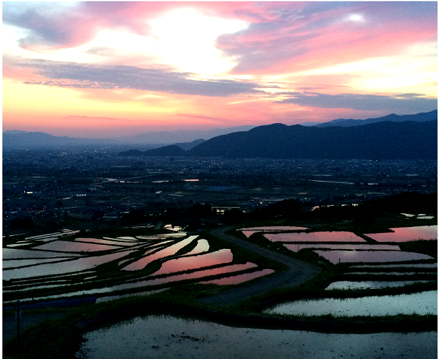 姥捨ての棚田(朝焼け)の画像