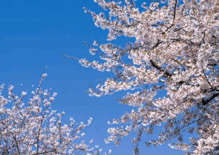 写真:栗山平和公園の画像1