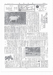 広報ひかり昭和40年8月号の画像