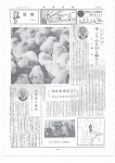 広報ひかり昭和44年1月号の画像