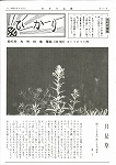 広報ひかり昭和51年8月号の画像