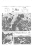 広報よこしば昭和56年6月号の画像