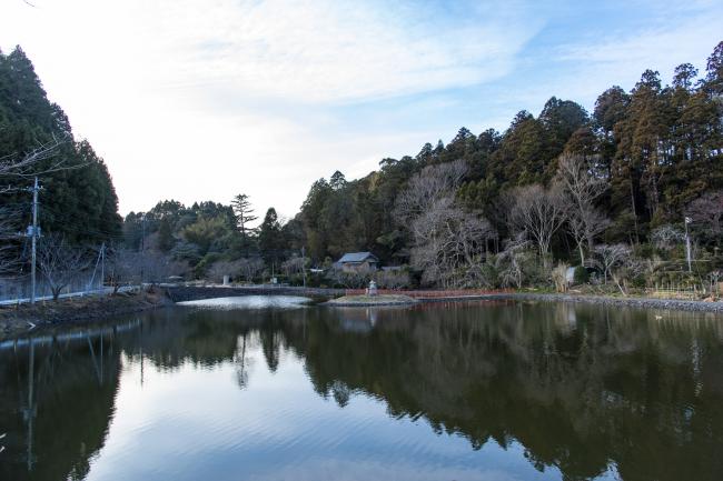 小堤上の池・下の池