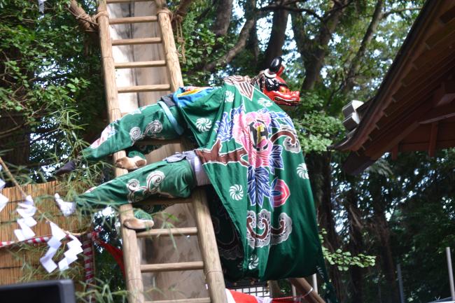 中台大宮神社の梯子獅子の写真