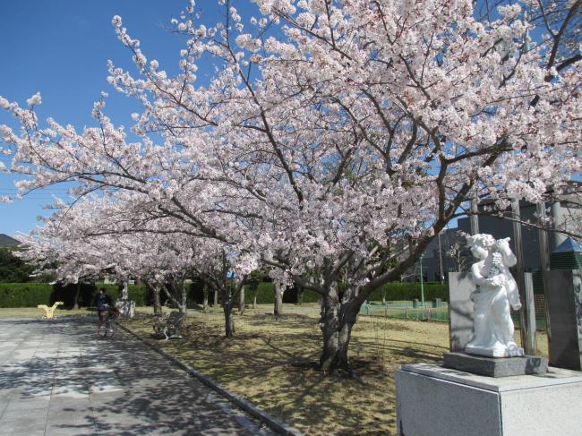 光文化の森公園の写真