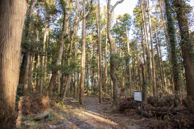 坂田城跡の写真