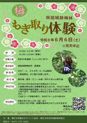 梅もぎ取り体験チラシ