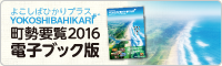 (事業PRテスト)町政要覧2016